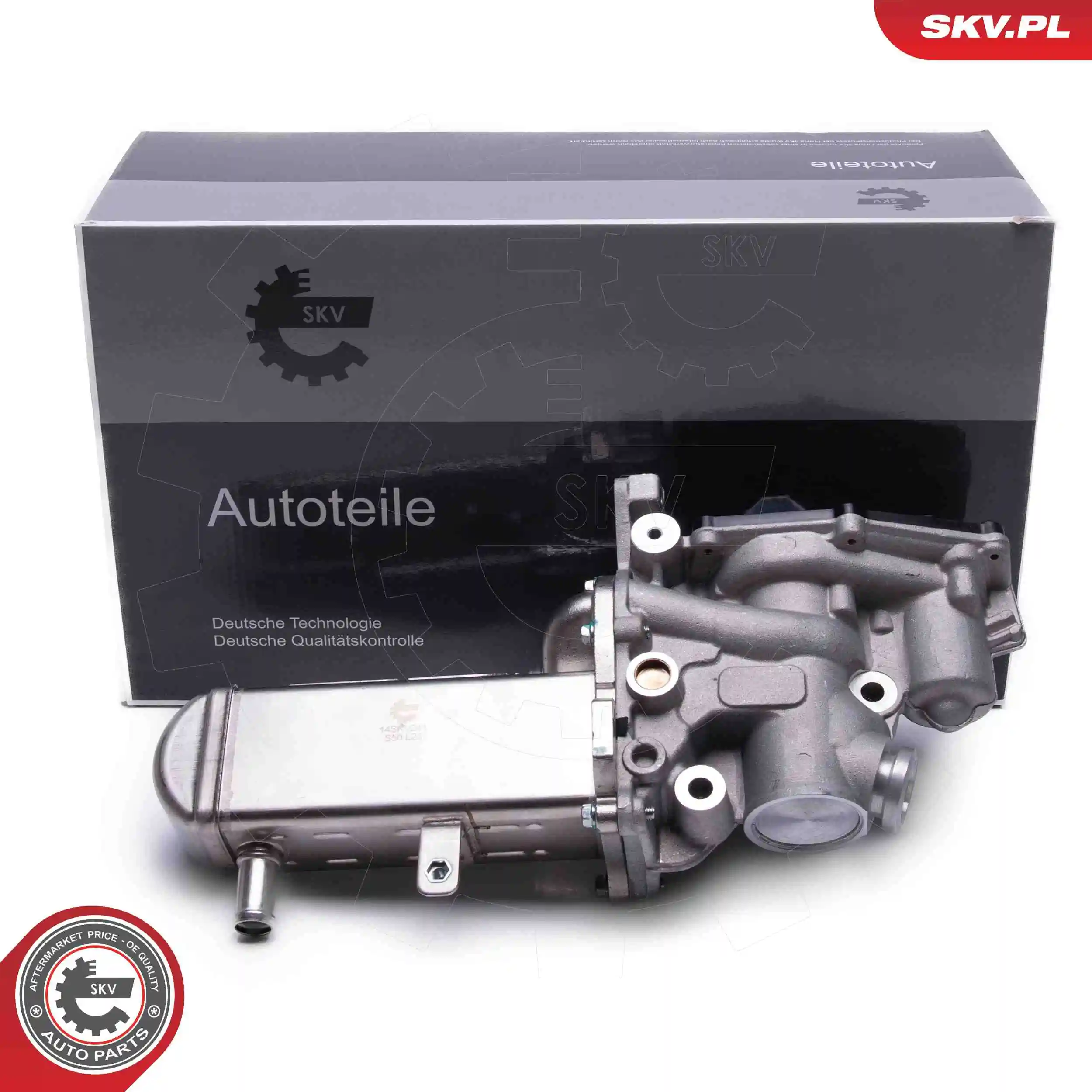 EGR Valve